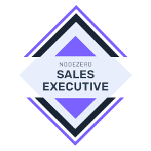 NODEZERO Sales Executive
