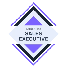 NODEZERO Sales Executive